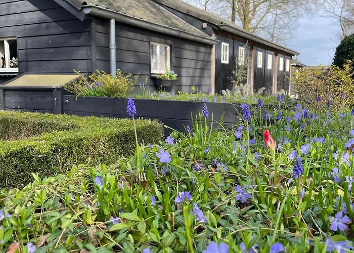 Hoeve Bij Vosselen Asten