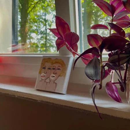 Hoeve Bij Vosselen Asten