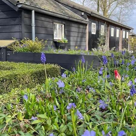 Hoeve Bij Vosselen Asten