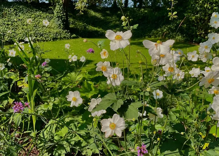 Hoeve Bij Vosselen 3* Asten